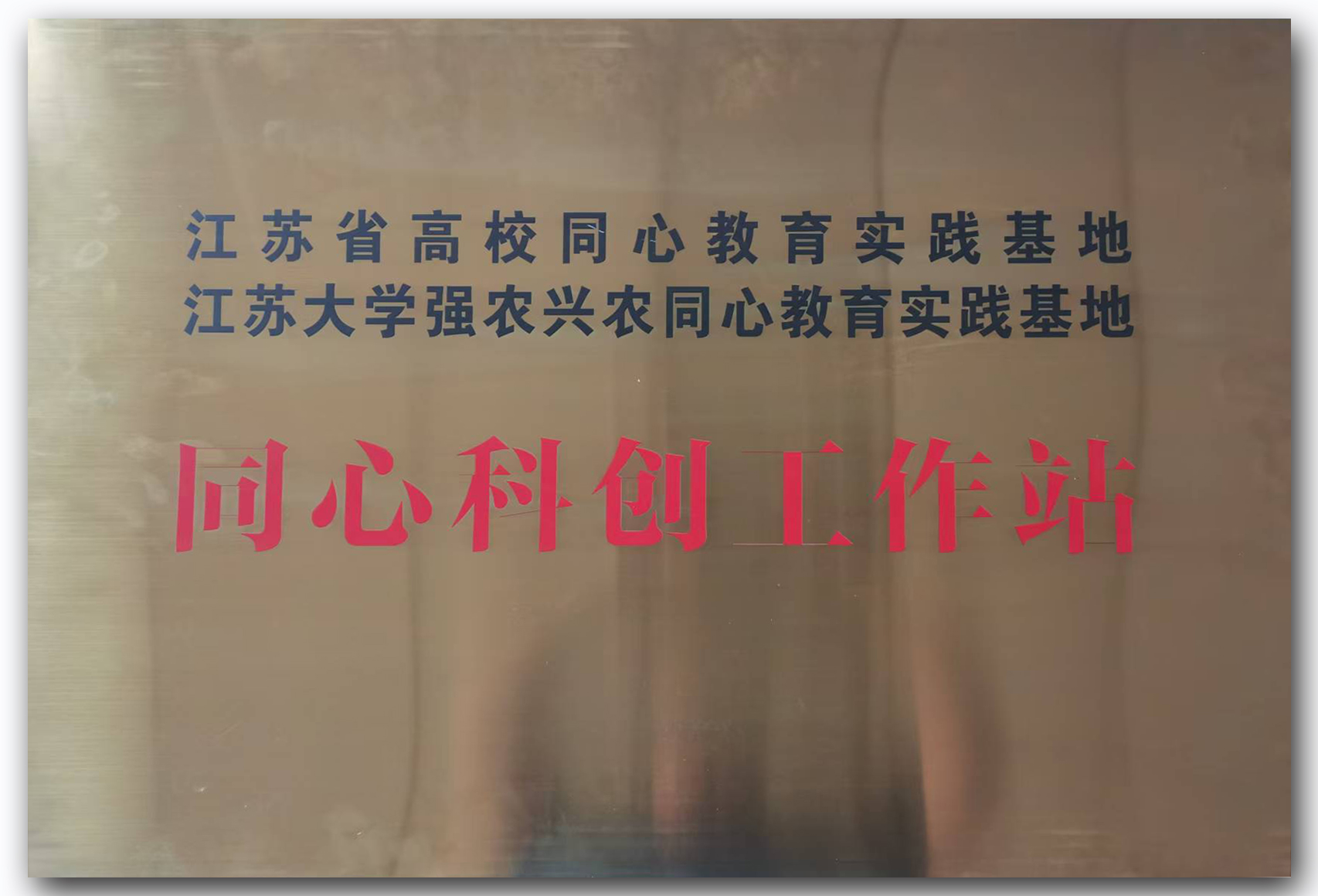 7e7ad6f77cad988aa62d347b259c1a2.jpg